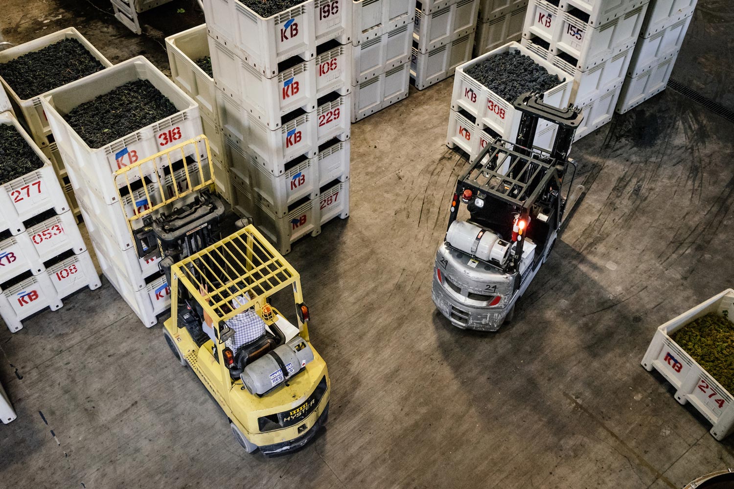 forklifts working the warehouse