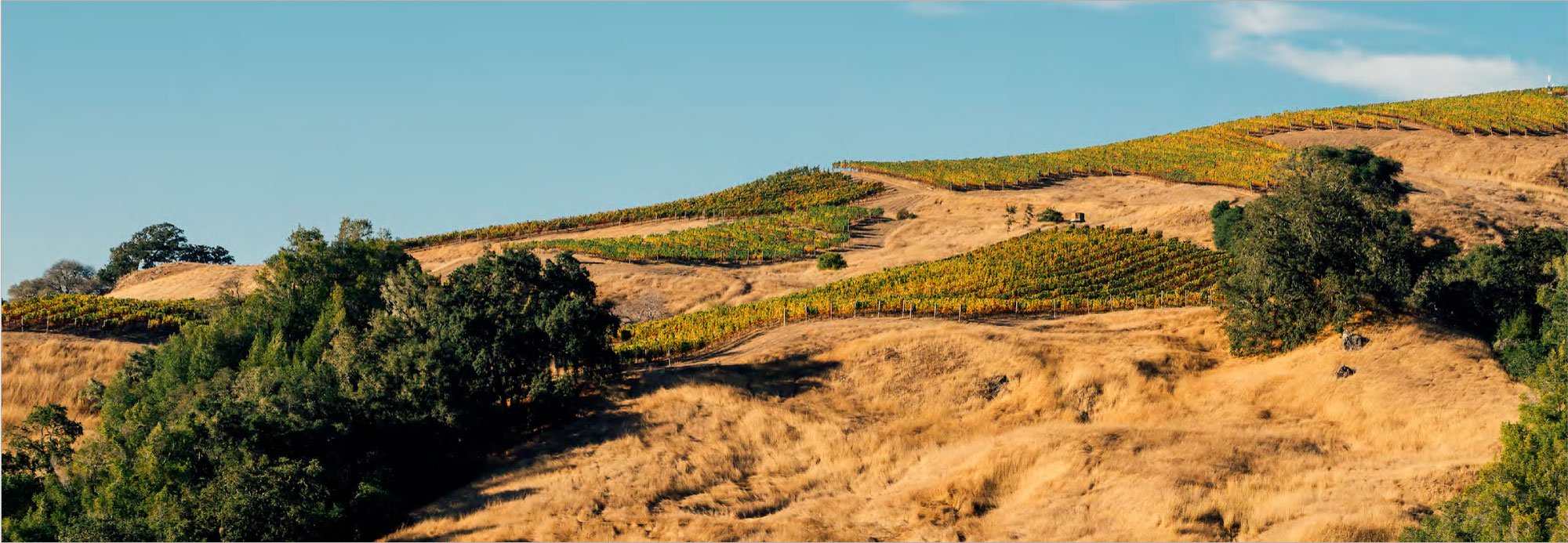 Anderson Valley Wine Region