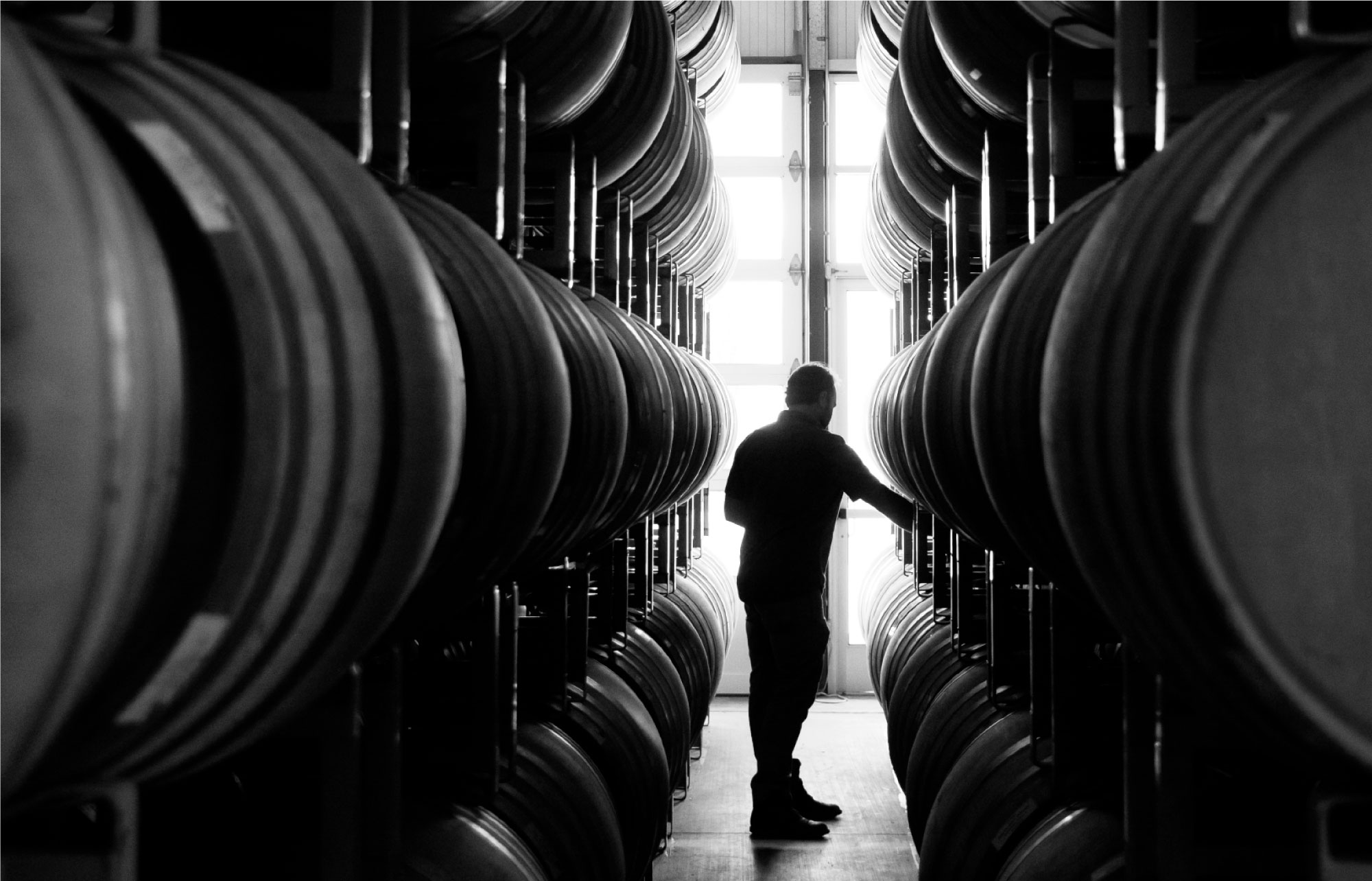 barrels in the cellar