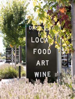 local-food-art-wine