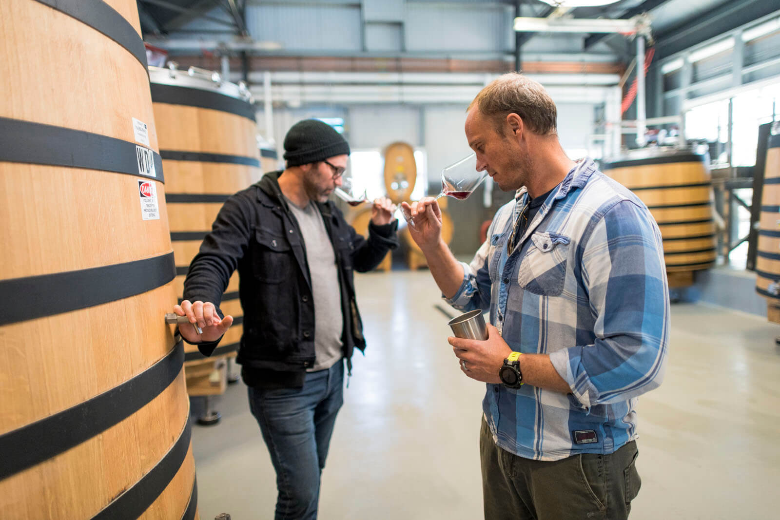 Tasting this year's wine