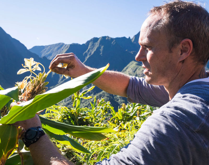 foraging for ingredients in Maui