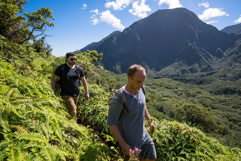 walking through hawaii forest