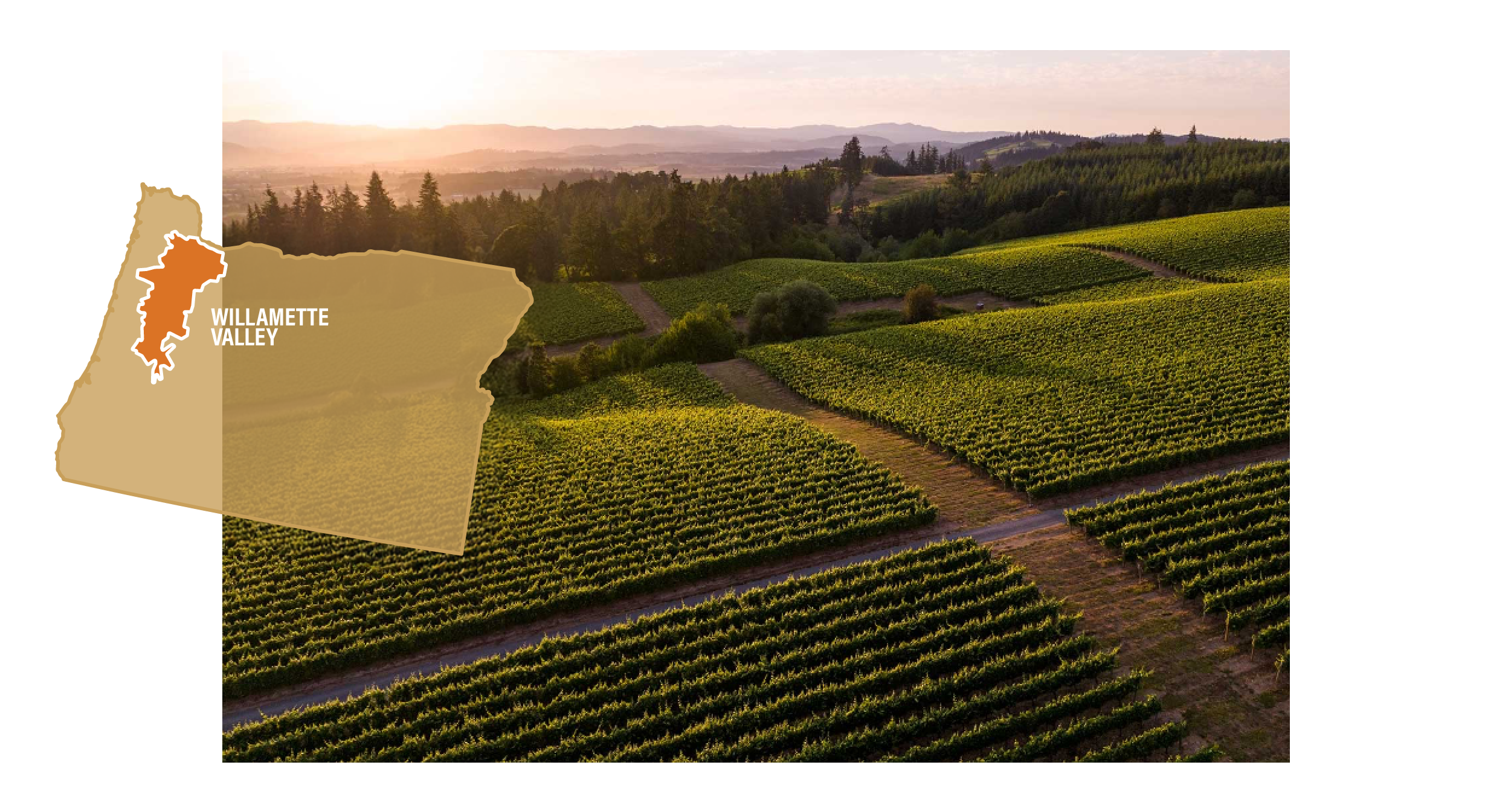 KB Region Maps - Willamette Valley