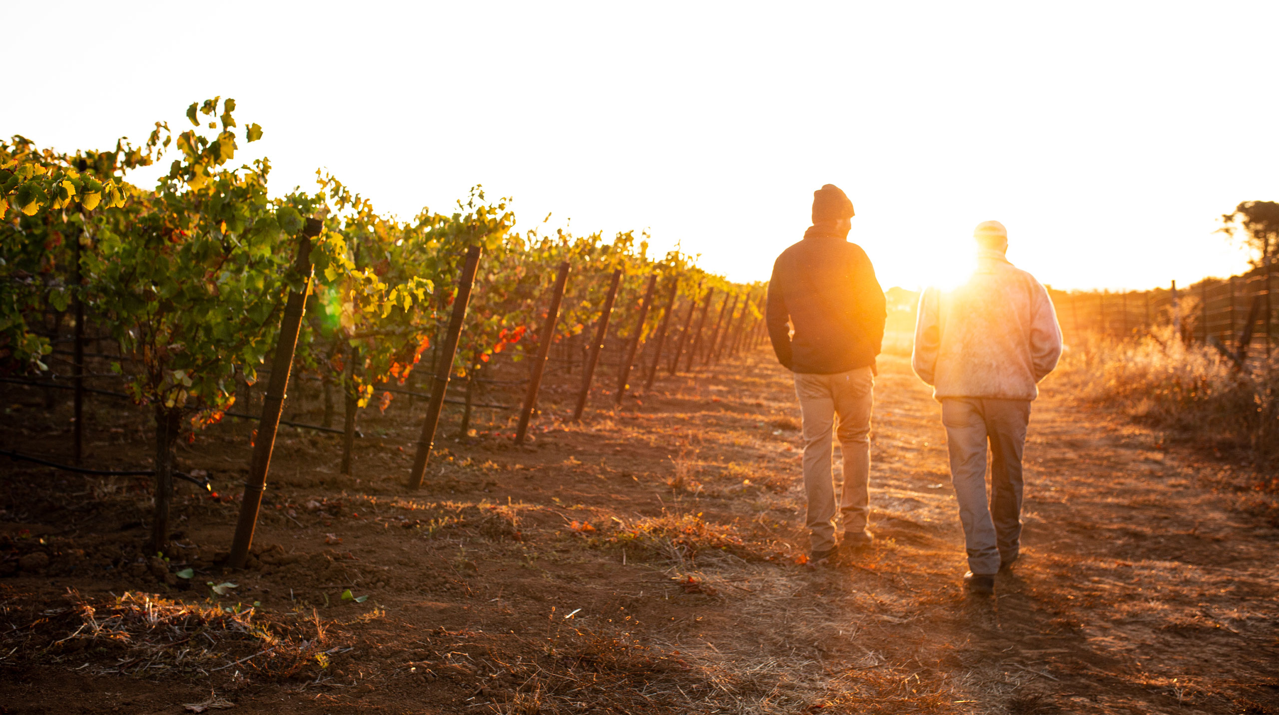 Kosta Browne Winery - Sonoma County - Pinot Noir - Chardonnay - handcrafted wines - exceptional quality