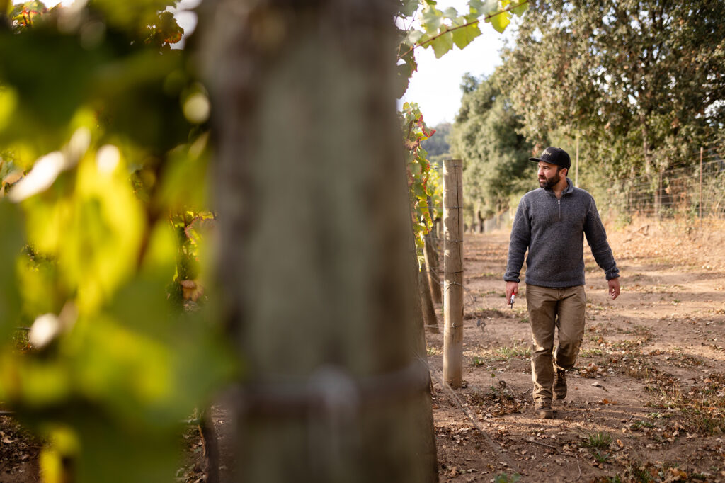 JULIEN HOWSEPIAN, WINEMAKER - Kosta Browne - Prestigious California winery – dedicated to crafting world-class Pinot Noir and Chardonnay – celebrated for its artistry, precision, and bold flavors.