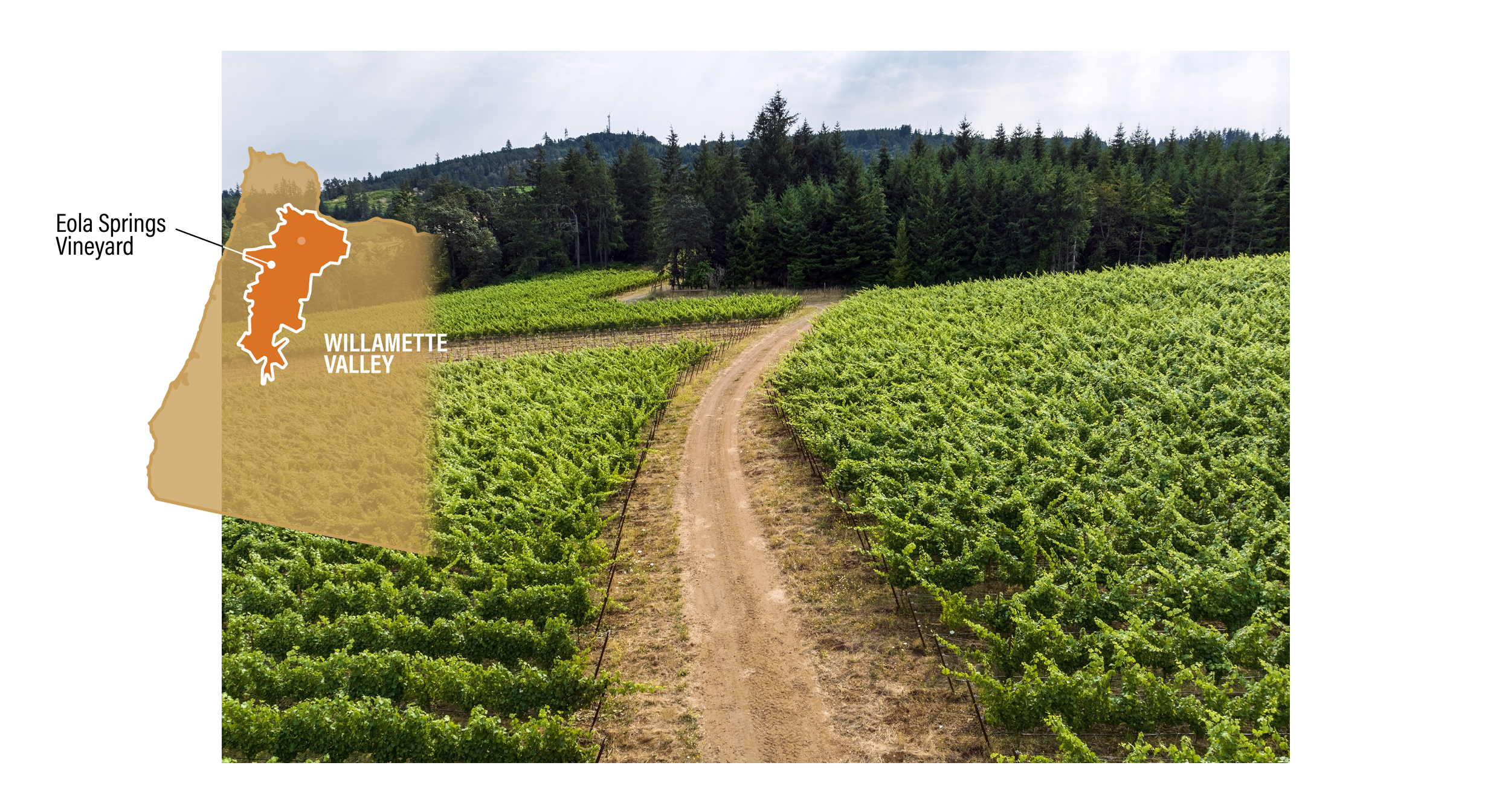 Kosta Browne - Prestigious California winery – dedicated to crafting world-class Pinot Noir and Chardonnay – celebrated for its artistry, precision, and bold flavors.