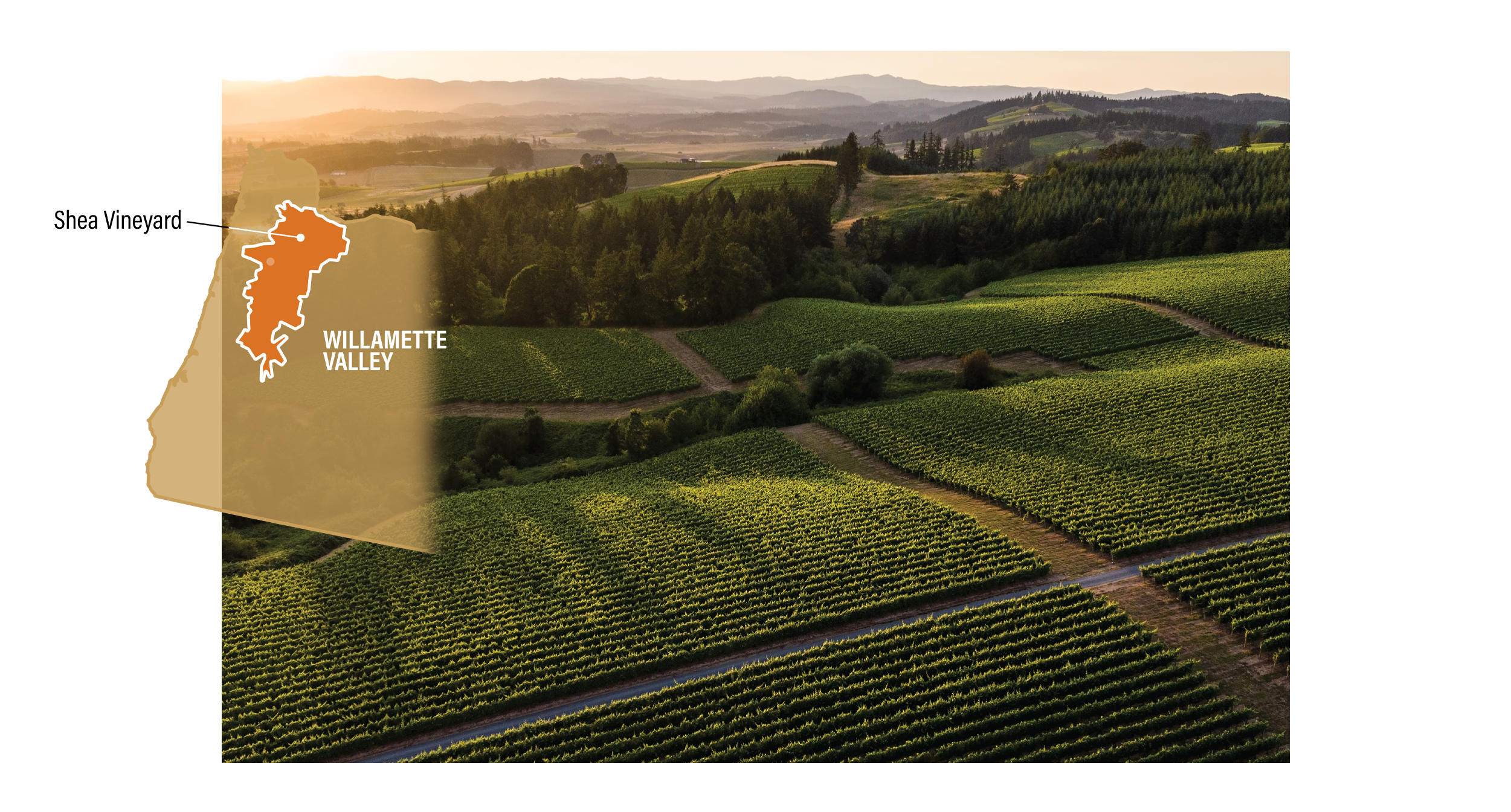 Kosta Browne - Prestigious California winery – dedicated to crafting world-class Pinot Noir and Chardonnay – celebrated for its artistry, precision, and bold flavors.