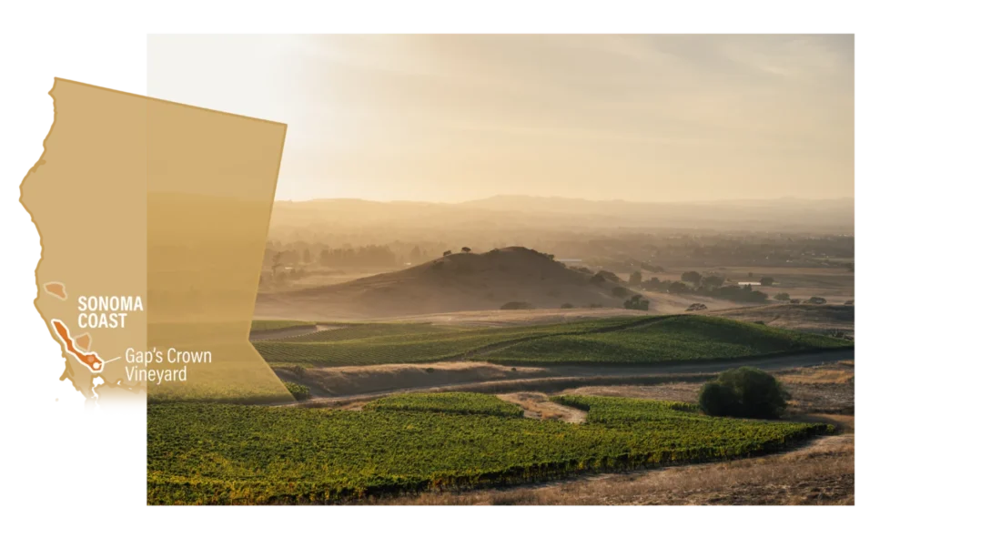 Kosta Browne - Prestigious California winery – dedicated to crafting world-class Pinot Noir and Chardonnay – celebrated for its artistry, precision, and bold flavors.