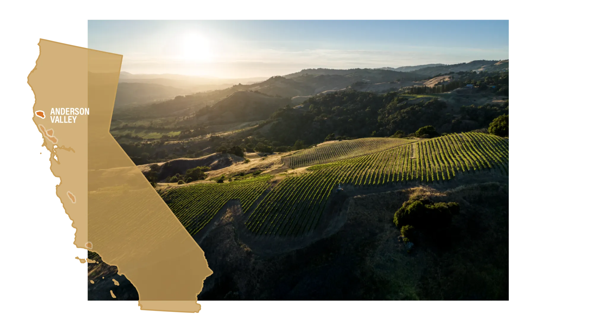 Anderson Valley Map
