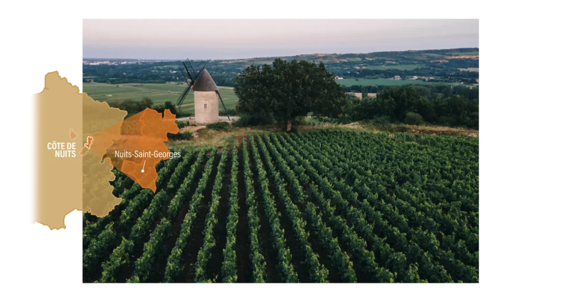 NUITS-SAINT-GEORGES
