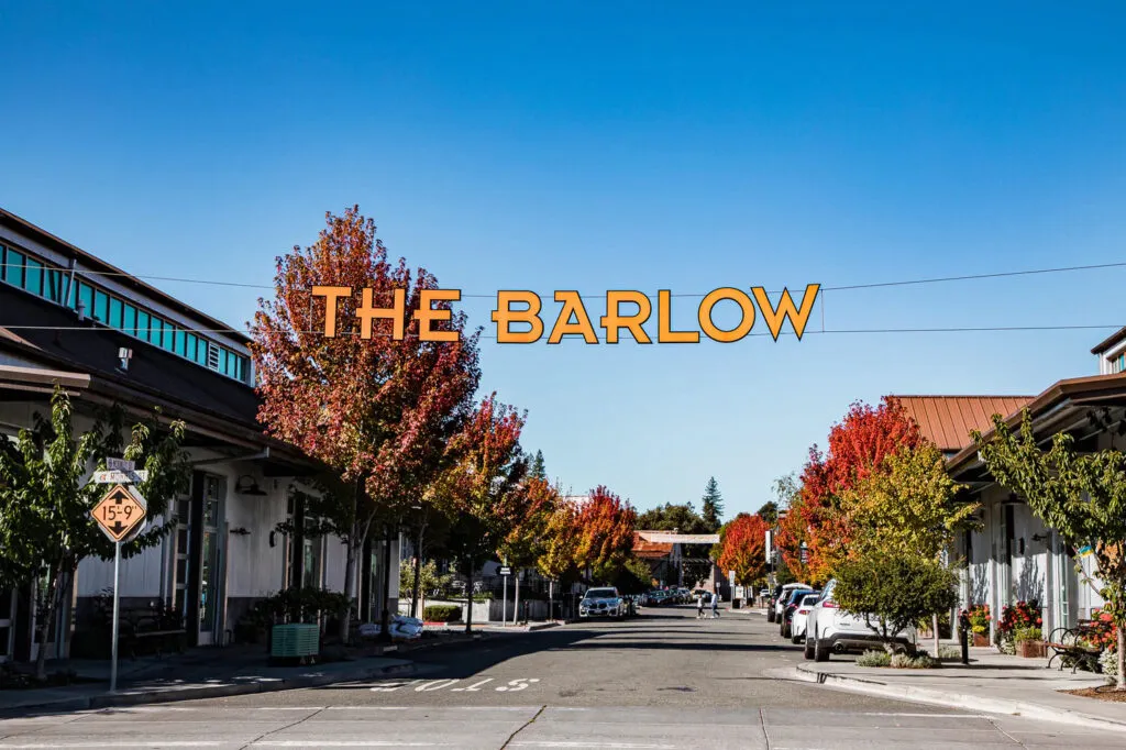 The-Barlow